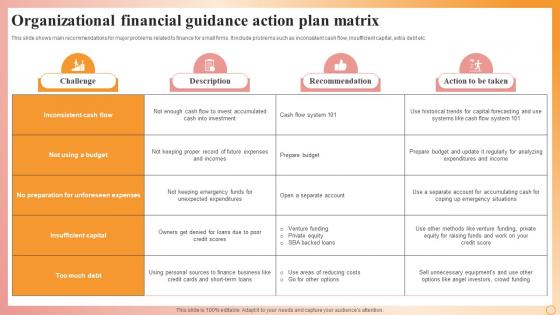 Organizational Financial Guidance Action Plan Matrix