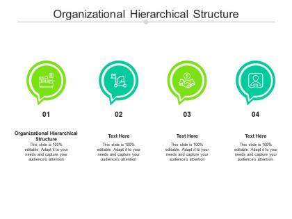 Organizational hierarchical structure ppt powerpoint presentation portfolio styles cpb