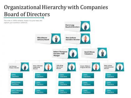 Organizational hierarchy with companies board of directors