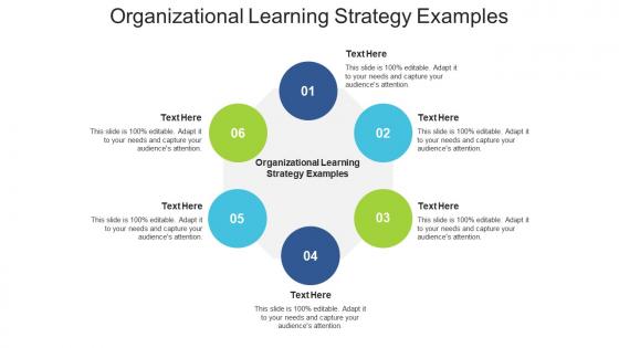 Organizational learning strategy examples ppt powerpoint presentation model display cpb