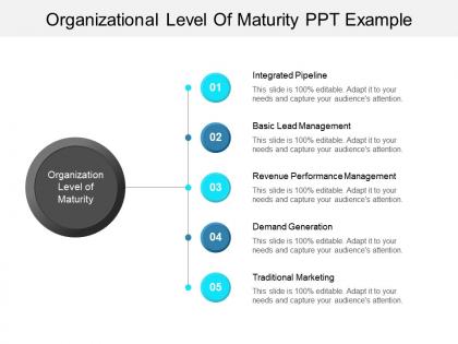Organizational level of maturity ppt example