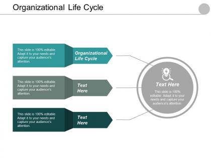 Organizational life cycle ppt powerpoint presentation file gallery cpb