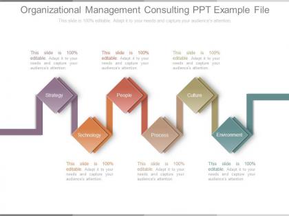 Organizational management consulting ppt example file