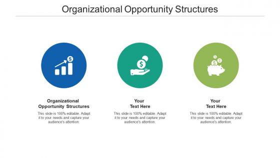Organizational opportunity structures ppt powerpoint presentation layouts graphics cpb