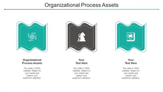 Organizational Process Assets Ppt Powerpoint Presentation Infographics Visual Aids Cpb