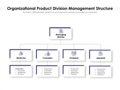 Organizational product division management structure