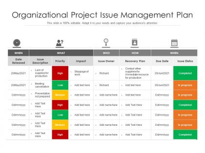 Organizational project issue management plan