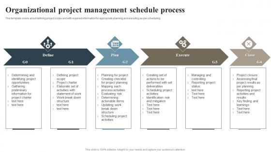 Organizational Project Management Schedule Process