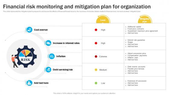 Organizational Risk Management Financial Risk Monitoring And Mitigation Plan For Organization DTE SS