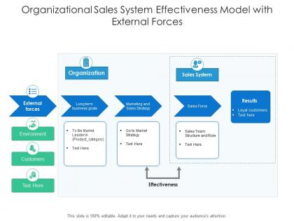 Organizational sales system effectiveness model with external forces