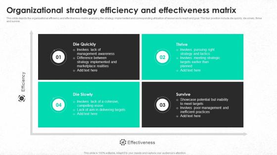 Organizational Strategy Efficiency And Effectiveness Matrix