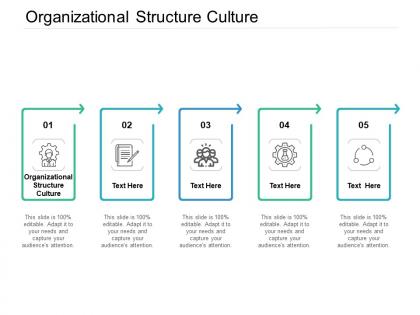 Organizational structure culture ppt powerpoint presentation model background image cpb