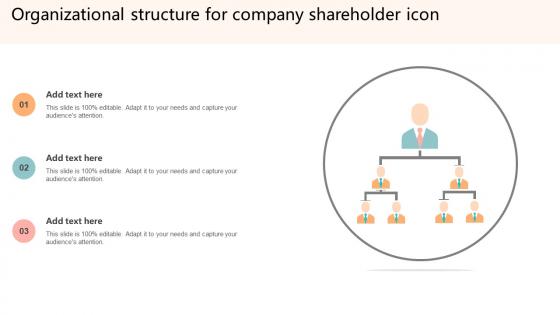 Organizational Structure For Company Shareholder Icon