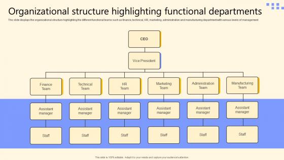 Organizational Structure Highlighting Functional Global Product Market Expansion Guide