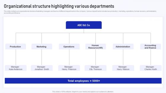 Organizational Structure Highlighting Various Implementation Of Cost Efficiency Methods For Increasing Business