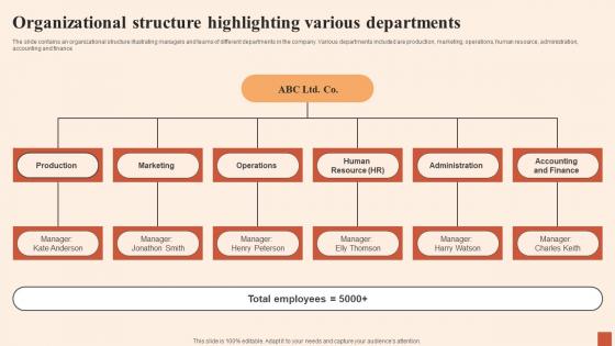 Organizational Structure Highlighting Various Multiple Strategies For Cost Effectiveness