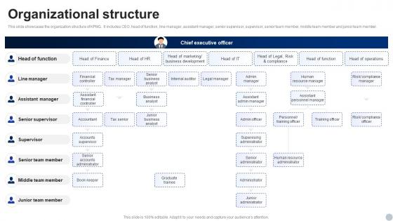 Organizational Structure KPMG Company Profile Ppt Introduction CP SS