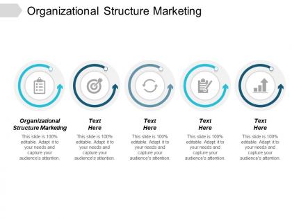 Organizational structure marketing ppt powerpoint presentation slides background images cpb