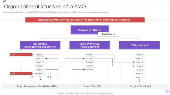 Organizational Structure Of A PMO Change Management Strategy Initiative