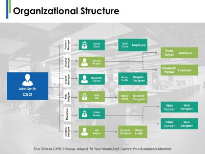 Organizational structure ppt infographics example introduction