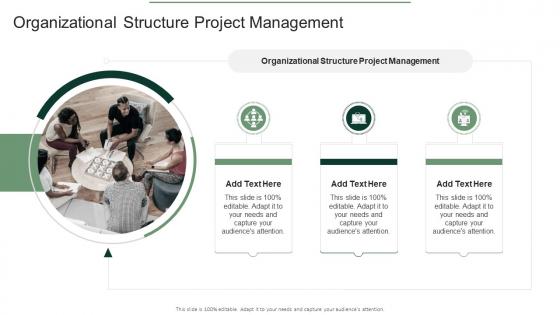Organizational Structure Project Management In Powerpoint And Google Slides Cpb