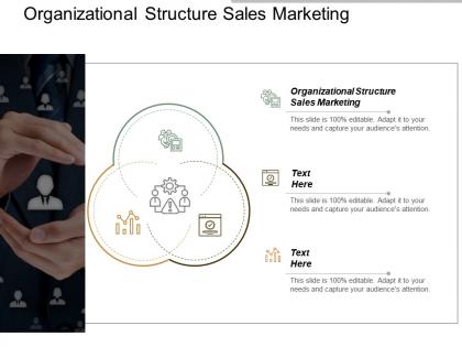 Organizational structure sales marketing ppt powerpoint presentation inspiration cpb