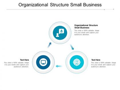 Organizational structure small business ppt powerpoint presentation show clipart cpb