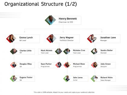 Organizational structure technical ecommerce solutions ppt summary