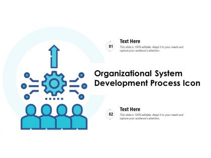 Organizational system development process icon