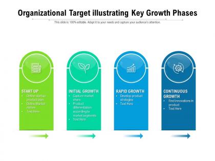 Organizational target illustrating key growth phases
