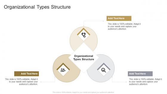 Organizational Types Structure In Powerpoint And Google Slides Cpb