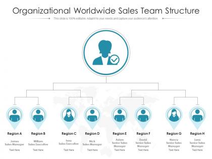 Organizational worldwide sales team structure
