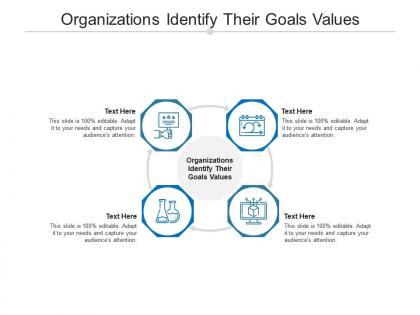Organizations identify their goals values ppt powerpoint presentation slides portrait cpb
