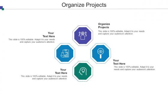 Organize Projects Ppt Powerpoint Presentation Icon Ideas Cpb
