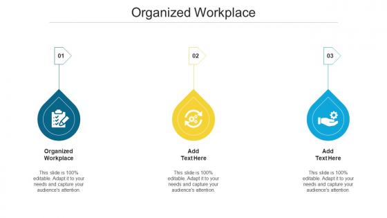 Organized Workplace Ppt Powerpoint Presentation Professional Examples Cpb