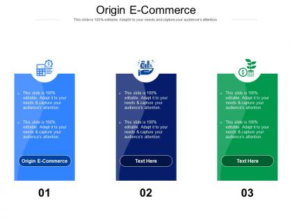 Origin e commerce ppt powerpoint presentation portfolio layouts cpb