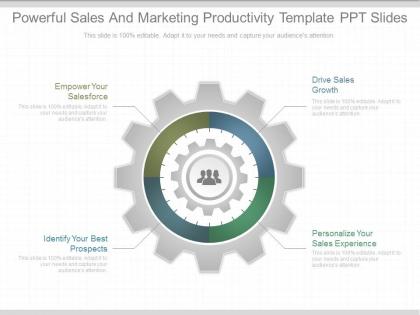 Original powerful sales and marketing productivity template ppt slides