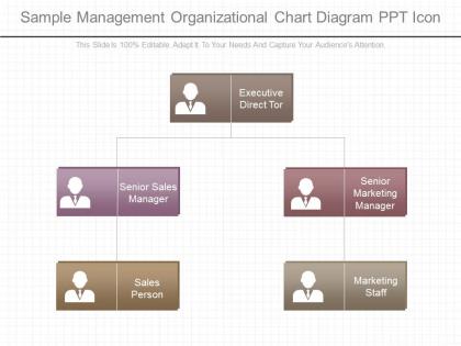 Original sample management organizational chart diagram ppt icon