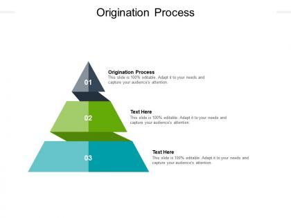 Origination process ppt powerpoint presentation layouts cpb