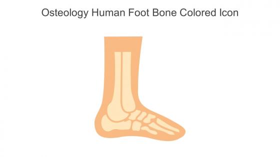 Osteology Human Foot Bone Colored Icon In Powerpoint Pptx Png And Editable Eps Format