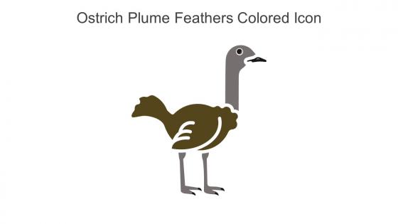 Ostrich Plume Feathers Colored Icon In Powerpoint Pptx Png And Editable Eps Format