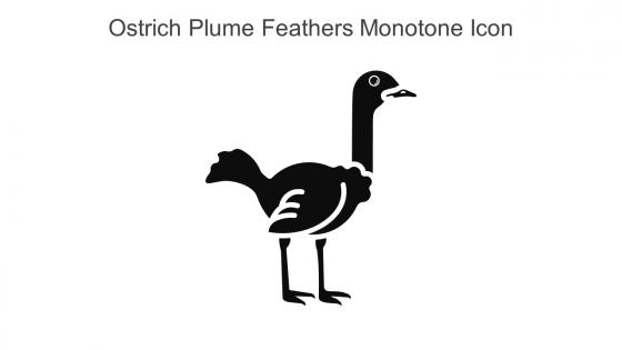 Ostrich Plume Feathers Monotone Icon In Powerpoint Pptx Png And Editable Eps Format