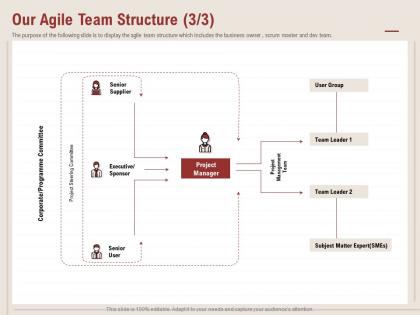 Agile Team Structure - Slide Team