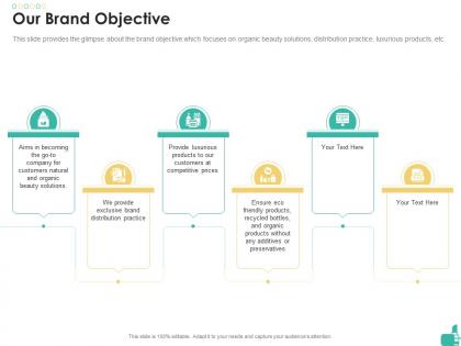 Our brand objective cosmetic product investor funding elevator ppt infographic template grid