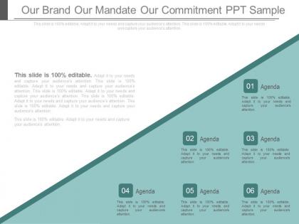 Our brand our mandate our commitment ppt sample