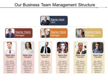 Our business team management structure