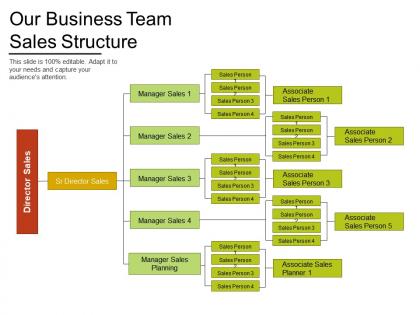 Our business team sales structure
