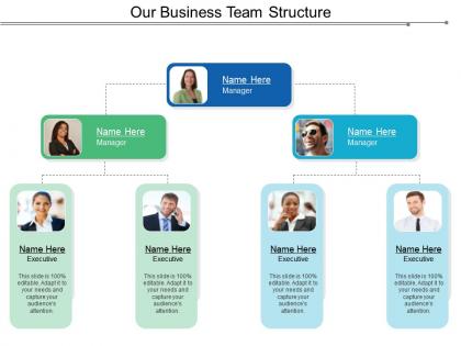 Our business team structure