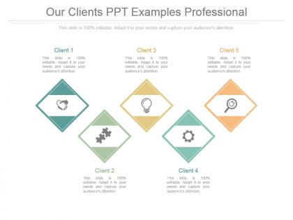Our clients ppt examples professional