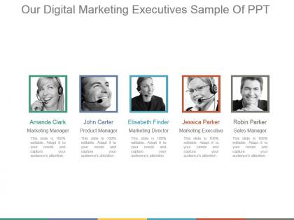 Our digital marketing executives sample of ppt
